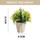 thumbnail image 2 of Flores artificiales, macetas de plástico, bolas de césped, plantas verdes, adornos en macetas, plantas artificiales., 2 of 5