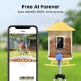 thumbnail image 3 of Bird Feeder with Camera, Netvue Birdfy Smart Bird Feeder for Bird Watching Auto Capture Videos, Notify When Birds Detected, Ideal Gift for Bird Lover, Yellow(Lifetime AI+Solar), 3 of 12