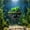 💖Green_Hot#381, variant on Floating Turtle Basking Platform and Fish Hideout Cave Aquarium Decor, No Suction Cups Needed, Self Floating Design, Natural Rock Look