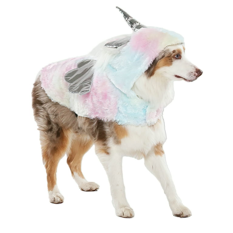 8 Costumes That Prove Border Collies Always Win At Halloween 6
