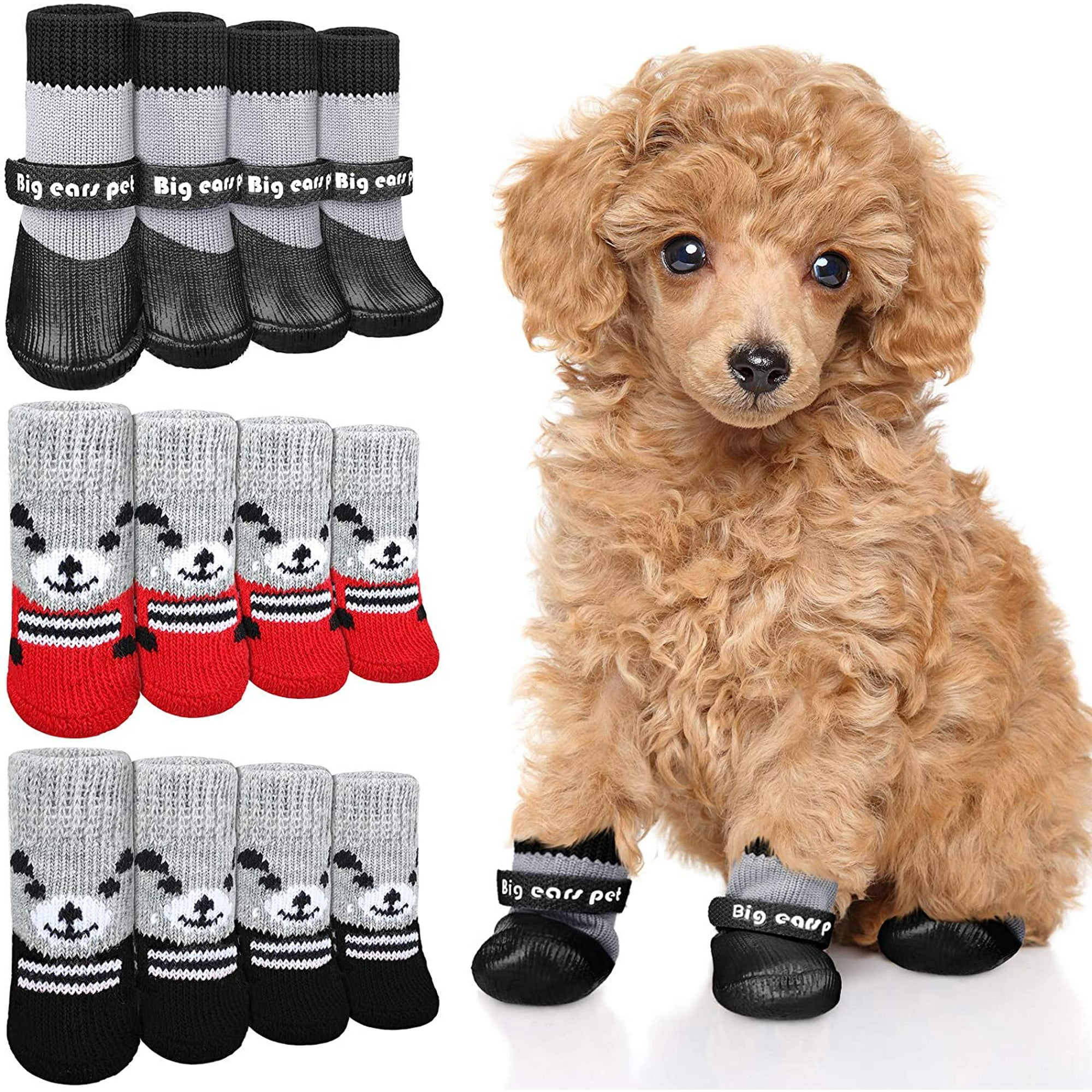 Should My Dog Wear Socks