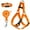 Orange, variant on DMISOCHR Dog Harness and Leash Set with Collar - Step in No Pull Dog Harness