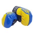 thumbnail image 1 of 15417 - Gants de Boxe SOUVENIR Ukrainien MINI, 1 of 1