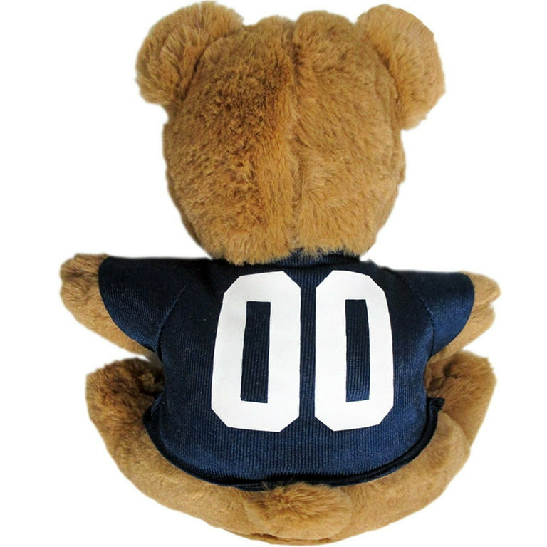 Philadelphia Eagles Teddy Bear Fan Set