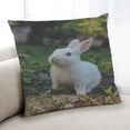 thumbnail image 1 of Ahgly Company Animals Rabbit Indoor Throw Pillow, 18 inch by 18 inch, 1 of 6