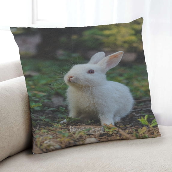 Ahgly Company Animals Rabbit Indoor Throw Pillow, 18 inch by 18 inch