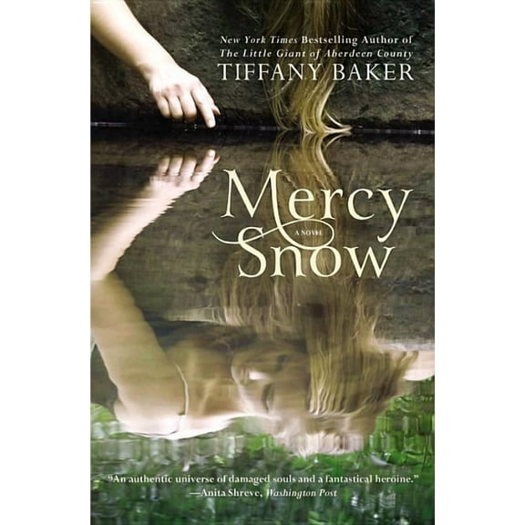Mercy Snow : A Novel (Paperback)