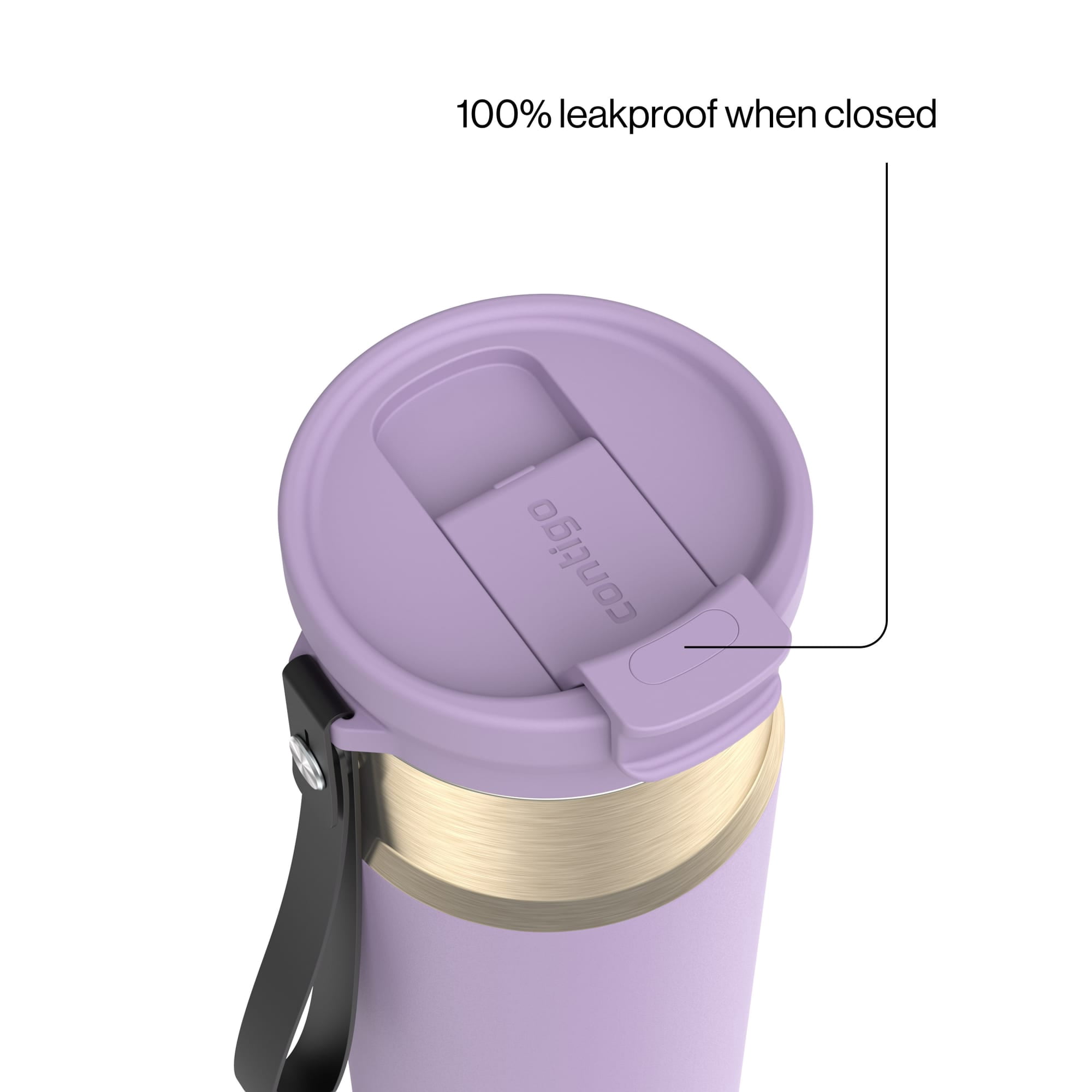 Contigo DualSip 24 oz Leakproof Insulated Water Bottle with Carrying Strap and 2-Way Lid