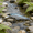 h16^A, 13.7cm, variant on Bisitoy Topwater Fishing Lures for Targeting Fish in Shallow Water