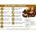 thumbnail image 3 of Pure Natural Kishmish (Raisin) By Nutritonal Choice 1kg, | Healthy & Delicious Dry Fruits Kishmish Are Helpful For Bones | 35.2 Ounce, 3 of 4
