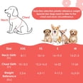 thumbnail image 3 of Arnés para perros SlowTon sin tirones con correa para perros pequeños y medianos, 3 of 7