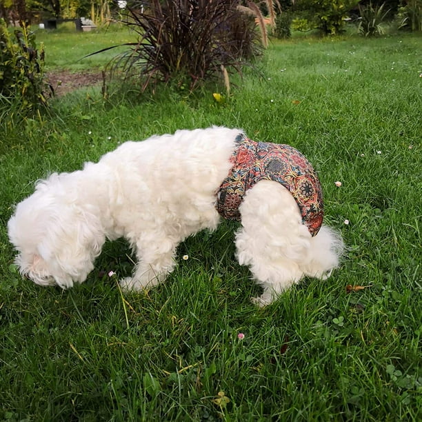 Zecatl Dog Diapers For Bitches Washable For Heat And Incontinence Xs
