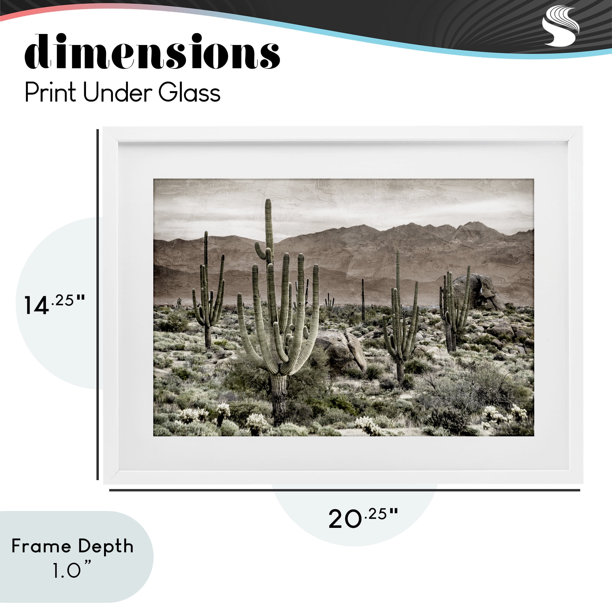 Stupell Industries Desert Land Cacti Wilderness White Framed Print Under Glass, design by Kim Allen