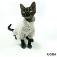 thumbnail image 5 of UOSIA Lace Sphynx Cat T-Shirt Soft Breathable Hairless Cats Sweater,XS,White, 5 of 6