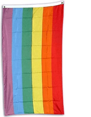 LGBT Pride Rainbow Flag Man Hiker Beach Swim Shorts Board Shorts