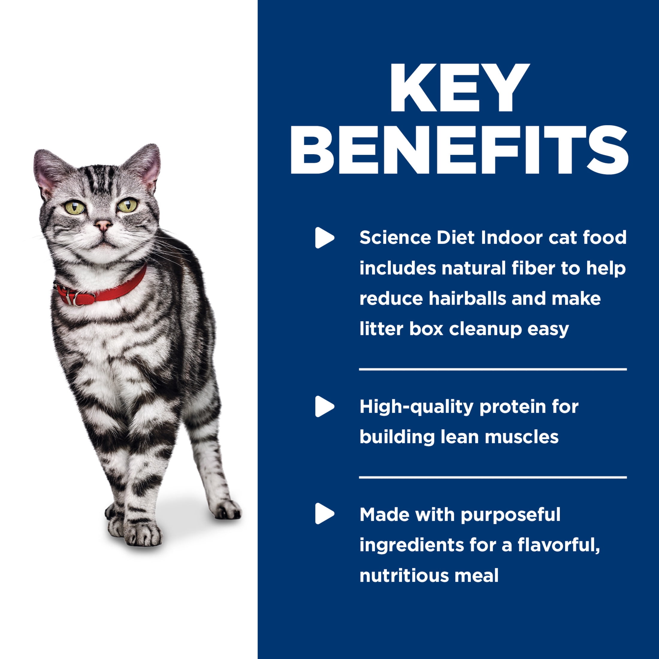 Hill's Science Diet Indoor Savory Chicken Wet Cat Food, 5.5oz Can 24pk