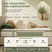 Beddle Hybrid Mattress, 10 inch Twin Size Medium Firm Pocket Spring Mattress in a Box, Motion Isolation, Edge Support, Fiberglass-Free, CertiPUR-US Certified