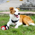 thumbnail image 5 of DOGNESS Reflective Retractable Dog Leash, One Button Brake & Lock Anti-Slip Handle, Strong Nylon Ribbon Tape, 13-19 ft Long Dogs, Three Colors Reflective Sticker (Red, 16 ft / up to 90 lbs), 5 of 5