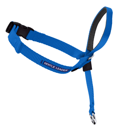 PetSafe Gentle Leader Headcollar, No-Pull Dog Collar, Large, Royal (Best No Pull Dog Collar)