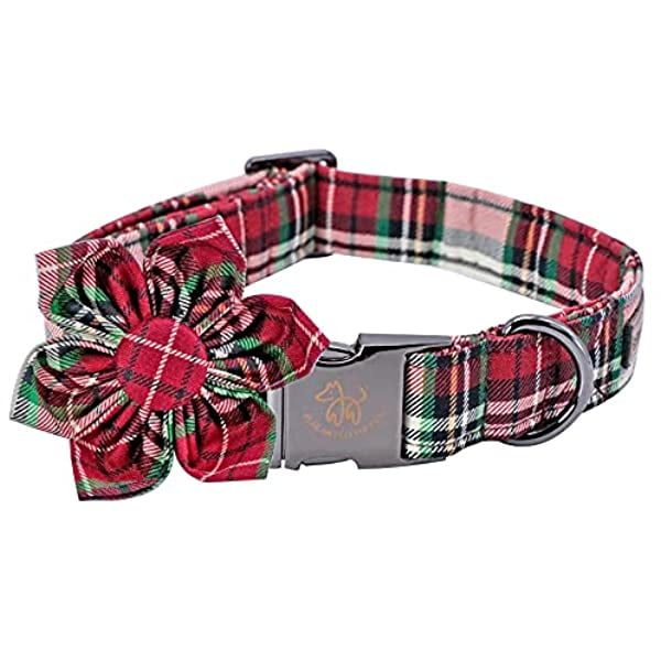 dog collars for male dogs