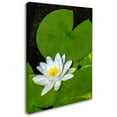 thumbnail image 2 of Trademark Fine Art "White Lotus" Canvas Art by Kurt Shaffer, 2 of 3