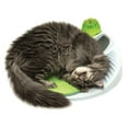 thumbnail image 5 of Catit Senses Cat Toy with Grooming Combs & Gum Stimulator, Green, 5 of 6