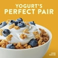 thumbnail image 5 of Nature Valley Granola Oats and Honey Protein Granola (Pack of 14), 5 of 9