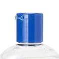 thumbnail image 4 of Fruit Of the Earth Aloe Vera Gel Moisturizer (Sold as EA/1), 4 of 4