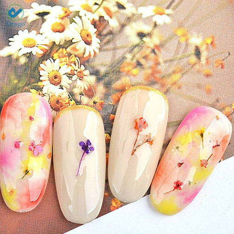 Deago 12 Colors Dried Flowers for Nail Art 3D Dry Flowers Nail Stickers  Colorful Natural Real Flower Nail Decals Nail Art Supplies (Type C) 