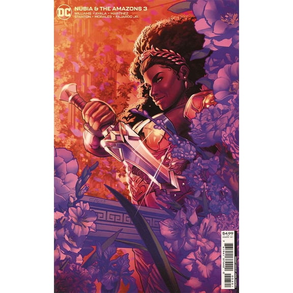 Nubia And the Amazons #3A VF ; DC comic book
