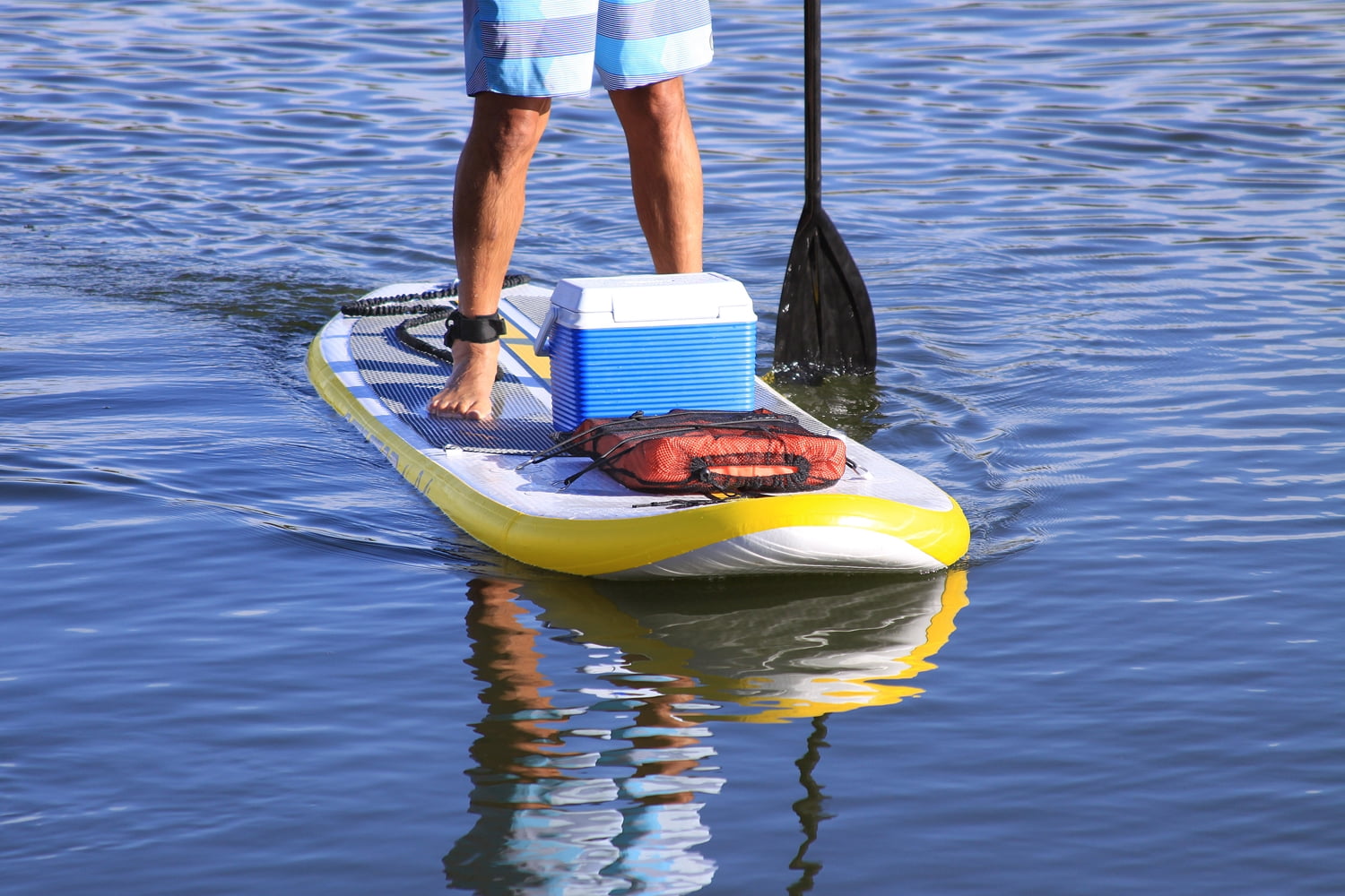 SUP SCRUNCHY Board Leash by AIRHEAD SPORTS GROUP