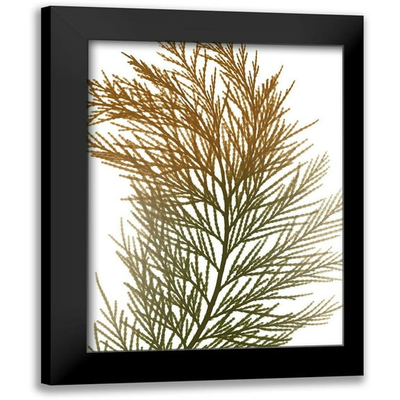 Koetsier, Albert 12x14 Black Modern Framed Museum Art Print Titled - Urban Incense Cedar