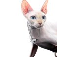 thumbnail image 2 of Collar de doble capa con forma de gato, aleación, colgante de moda, joyería para hombres y mujeres, 2 of 5