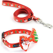 Powboro NPB0017 Personalized Dog Collar & Leash Set