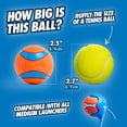 thumbnail image 2 of Juguete para perros Chuckit! Ultra Ball, tamaño mediano, para razas de 9 a 27 kg, paquete de 4, 2 of 6