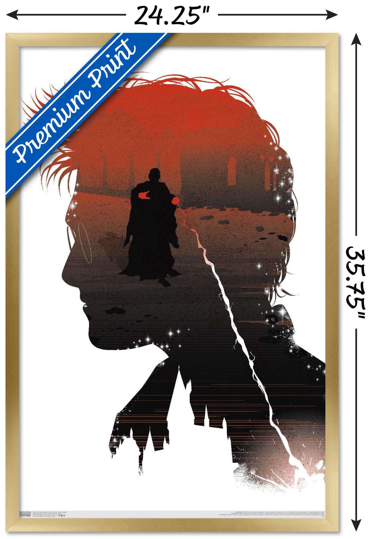 The Wizarding World: Harry Potter - Inner Struggle Wall Poster, 22.375" x 34", Framed