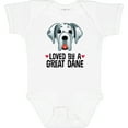 thumbnail image 3 of Inktastic Great Dane Dog Lover Boys or Girls Baby Bodysuit, 3 of 5