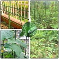 thumbnail image 2 of Advancent 10 uds/50 uds/100 Uds Clips cruzados de plástico soporte de planta conector fijo ajustable agricultura pilares de sujeción Almacenamiento y organización del hogar Advancent HA023110-00, 2 of 6