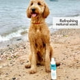 thumbnail image 7 of Mighty Mutt Natural and Hypoallergenic Dog Shampoo and Conditioner | Anti-Itch, Deodorizing and Soothing | Dog shampoo for smelly dogs | 9 oz, 7 of 7