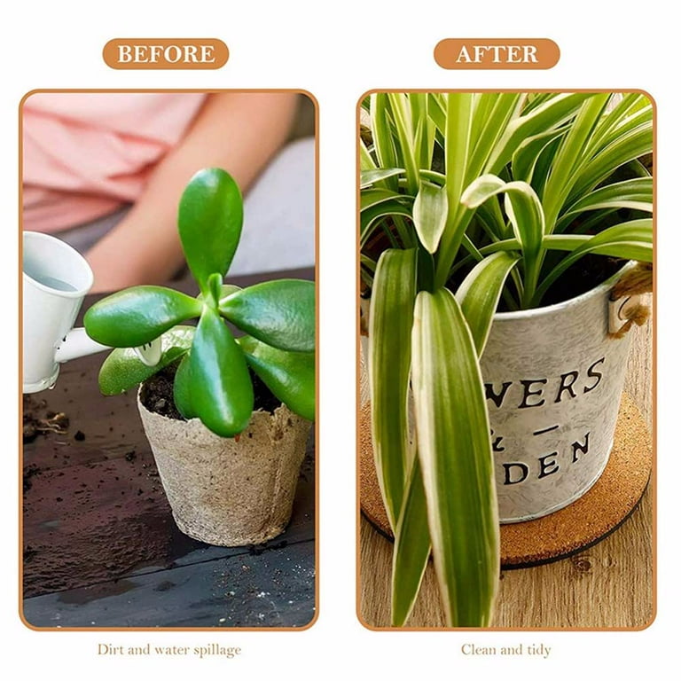 house plant watering can Stainless Steel Watering Can – fleurdetroit main image 1
