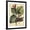 Black Frame, variant on Art.com Petite Dragonflies VI Art Print by Vision Studio, White Frame Wall Art, 32" x 40"