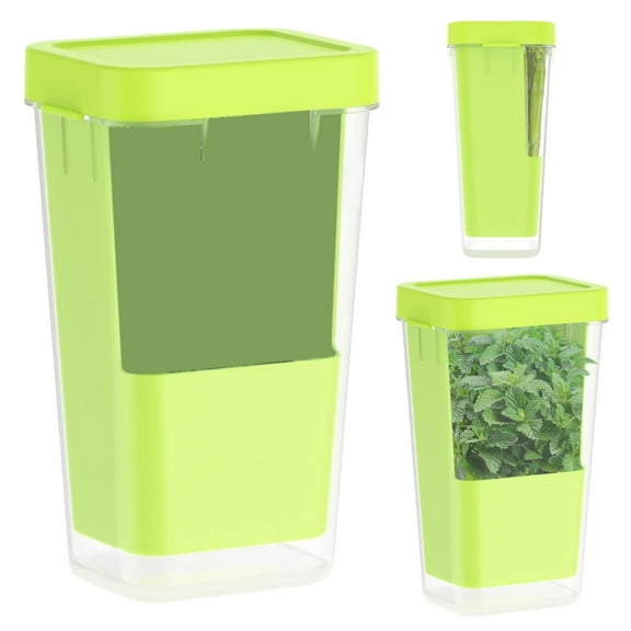 Fresh Vegetable Storage Container for Refrigerator Herb Keeper Box to Extend Freshness of Produce Asparagus Parsley Cilantro Crisper Container Keep Greens Fresh Longer