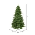 thumbnail image 3 of Vickerman 5.5' Camdon Fir Artificial Christmas Tree, Unlit, 3 of 5