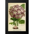thumbnail image 2 of Anonymous 10x14 Black Modern Framed Museum Art Print Titled - Primula Cort., 2 of 5