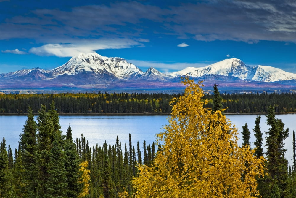 Scenic View Of Mt Sanford (L) And Mt Drum (R) With Willow Lake In The Foreground Wrangell St Elias National Park & Preserve Southcentral Alaska Autumn Canvas Art - Sunny Awazuhara- Reed Design Pics (
