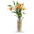 thumbnail image 4 of Quality Thick Weighted Clear Cylinder Glass Vases, 4" W x 12" H, Flower Arrangement Floating Candle Holders Wedding Centerpieces Terrarium Planter Floral Storage Container, Bulk Wholesale, 6 Pcs, 4 of 8