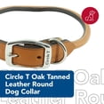 thumbnail image 2 of Collar para perro Coastal Circle T de piel curtida roble 2,5x61 cm, 2 of 7