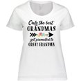 thumbnail image 3 of Inktastic Only the Best Grandmas Get Promoted to Great Grandma Women's Plus Size T-Shirt, 3 of 5