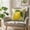C, variant on Hovilon Floral Print Pillow Cover - Soft Shearling Throw Pillow Case with Hidden Zipper, Washable Decorative Cushion Cover for Sofa, Bed, Couch, and Living Room Home Decor, Mint Green