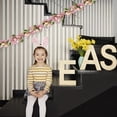 thumbnail image 4 of JHEHF 3.28 Ft Easter Garland Pastel Easter Eggs Hanging Rustic Spring Vine String for Mantle Gifts Home Decor Wall Window Table Seasonal Decoration Wreath Making, 4 of 8